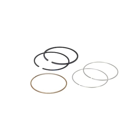 Briggs & Stratton RING SET 795690
